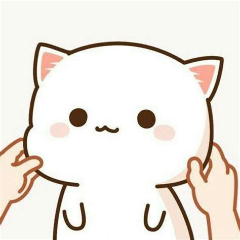 Update 67+ anime cat pfp best - in.cdgdbentre