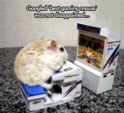 Gaming Mouse