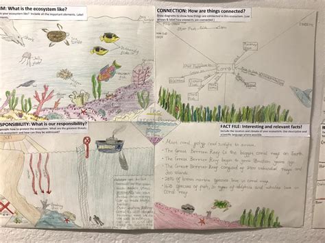 Ecosystem Drawing With Labels at GetDrawings | Free download