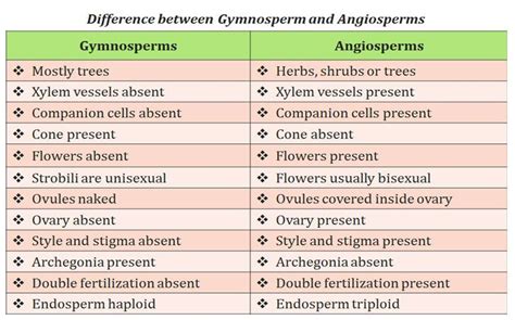 gymnosperms vs angiosperms | Biología, Lecciones de biología, Curacion ...