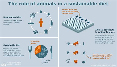 Meat consumption - WUR