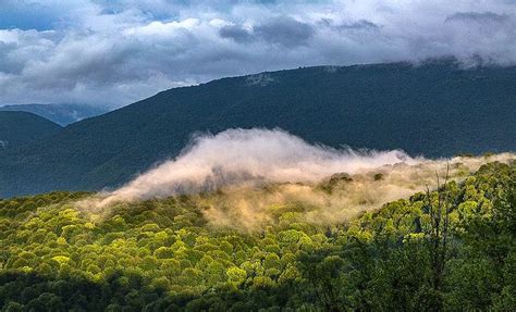 Hyrcanian forests inscribes as a Ira UNESCO World Heritage