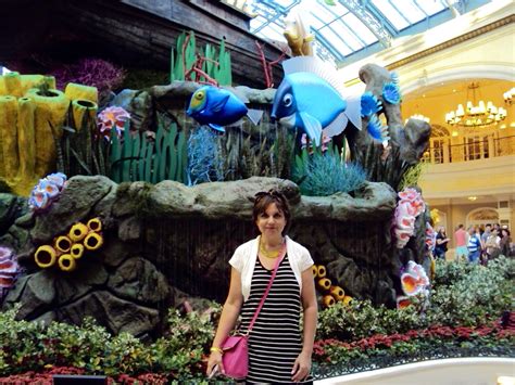 Amy's Creative Pursuits: The Bellagio Gardens