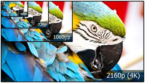 UHD Vs HDR: Which Should I Go For? • [Updated 2024 Guide]