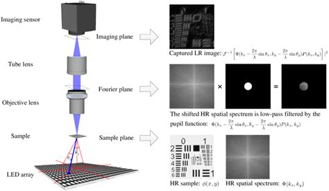 The FPM system and its image formation. | Download Scientific Diagram