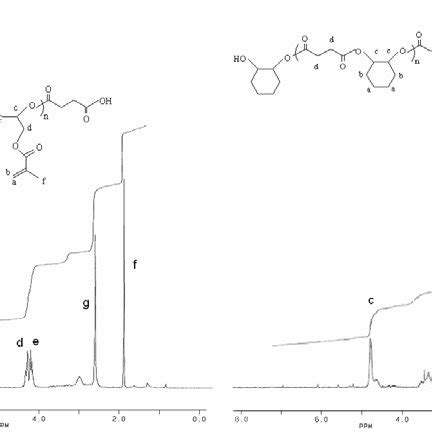 Scheme-1: Polymerization of glycidyl methacrylate with succinic ...