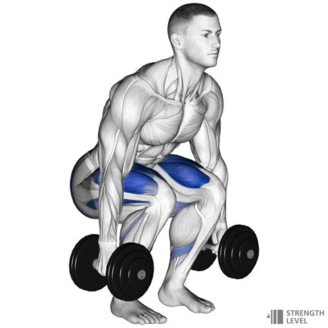 Dumbbell Squat Standards for Men and Women (kg) - Strength Level