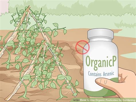 3 Ways to Use Organic Pesticides for Gardening - wikiHow