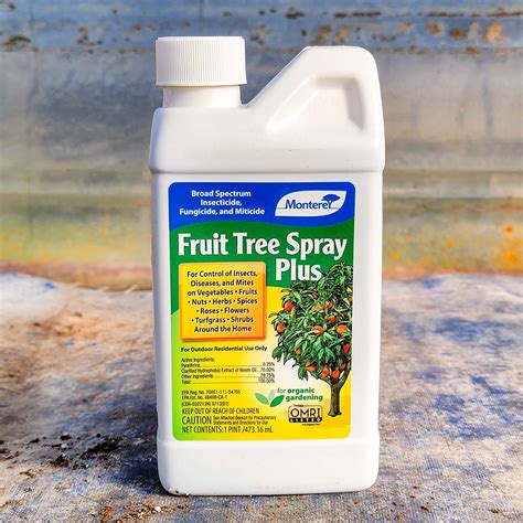 Organic Pesticide For Fruit Trees - PestPhobia