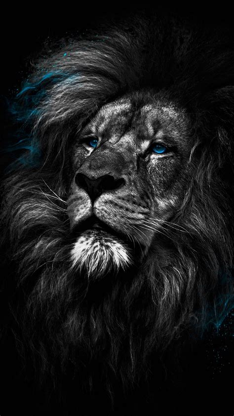 Dark Lion Wallpapers - 4k, HD Dark Lion Backgrounds on WallpaperBat