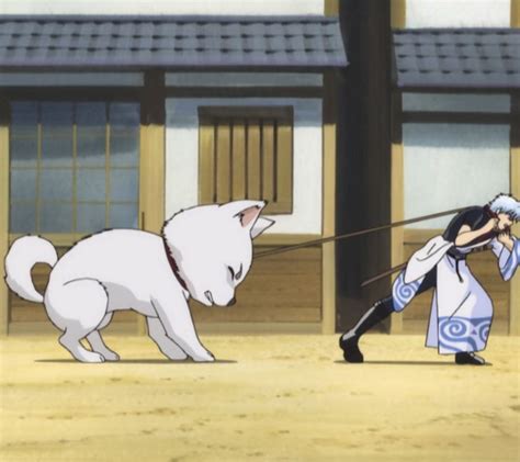 Gintama — Gintoki , Sadaharu | รูปภาพ