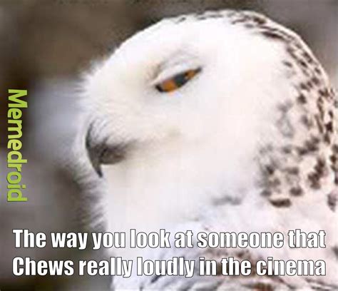 The best Owls memes :) Memedroid