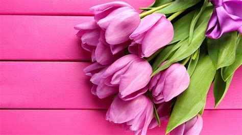 Free Pink Flowers Wallpaper Downloads, [300+] Pink Flowers Wallpapers ...