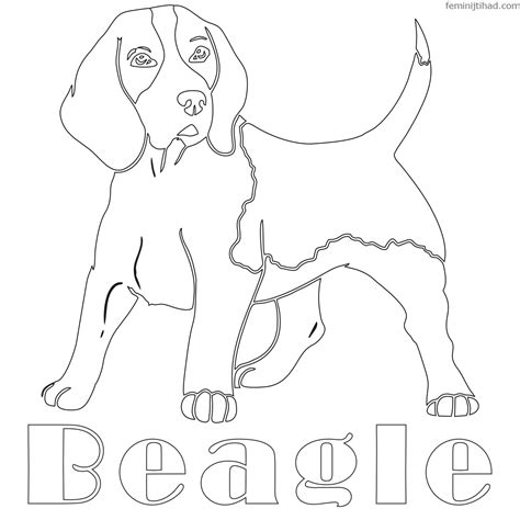 Beagle Coloring Pages at GetColorings.com | Free printable colorings ...