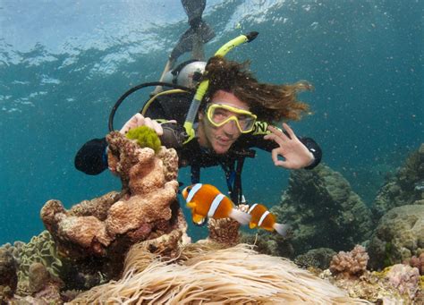 Hitting The Water Scuba Diving On The Great Barrier Reef, Cairns ...