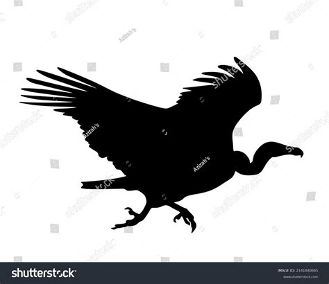 Flying Vulture Silhouette Isolated On White Stock Vector (Royalty Free ...