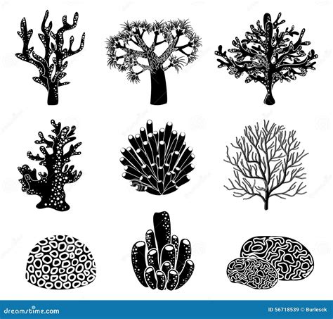 Vector Set Of Black Coral Silhouettes | CartoonDealer.com #56718539