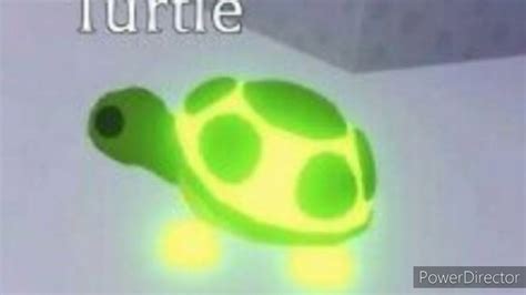 Neon turtle adopt me