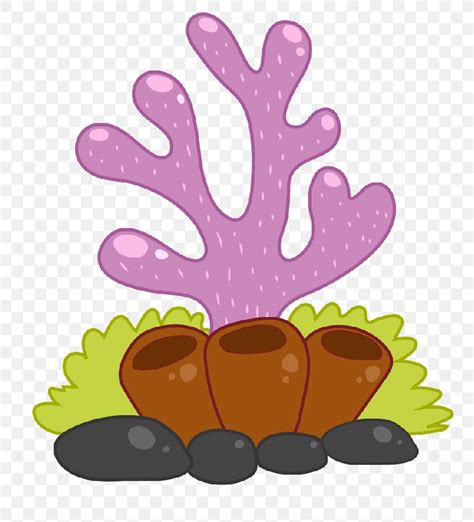 Clip Art Image Cartoon Coral Drawing, PNG, 800x904px, Cartoon ...