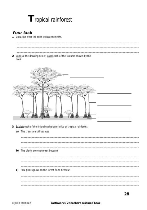 Ecosystem Drawing With Labels at PaintingValley.com | Explore ...