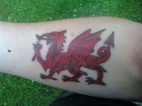 Welsh dragon tattoo ideas photos