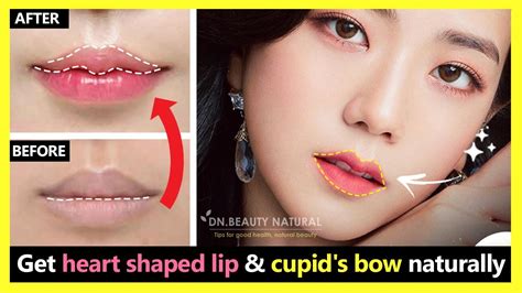 Why Do Lips Have A Cupid S Bow | Lipstutorial.org