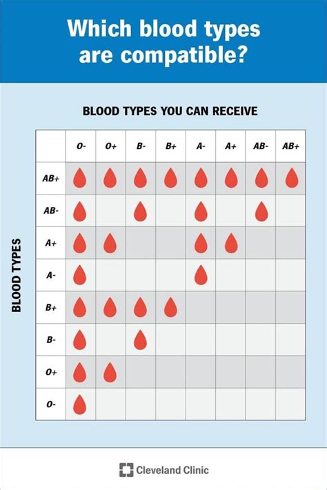 Which blood types are compatible? BLOOD TYPES YOU CAN RECEIVE A+ I AB ...