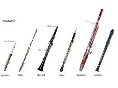 10 Interesting Flute Facts | My Interesting Facts