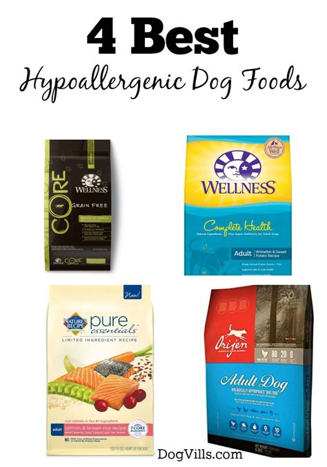 4 Best Hypoallergenic Dog Foods - DogVills