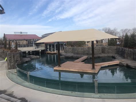 Como Park Zoo Seal and Sea Lion Habitat Nearing Completion - Satchell ...