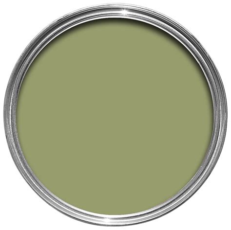 Rust-Oleum Chalky Finish Sage Green Matt Furniture Paint 125ml | Rooms ...