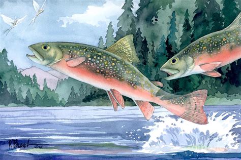 Brook Trout Painting by Paul Brent - Pixels