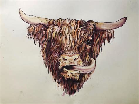 This highland cow my girlfriend made today. : drawing