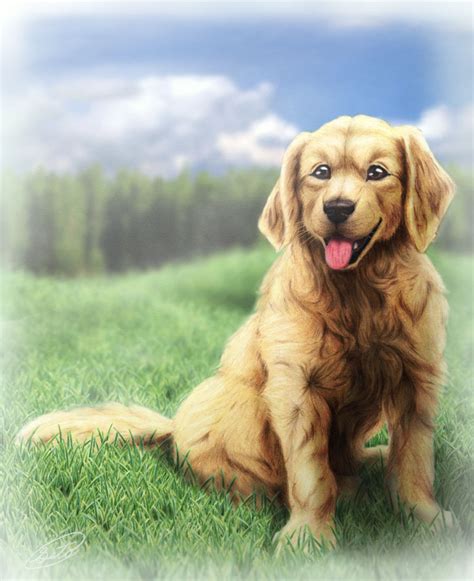 Golden Retriever : Dog Smile by SheltieWolf on DeviantArt