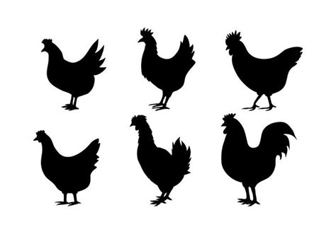 Chicken Silhouette Vectors 93088 Vector Art at Vecteezy