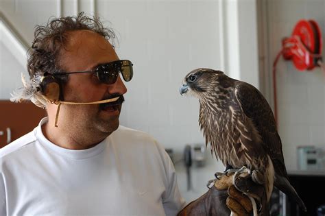 Falconry Experience Photo Gallery