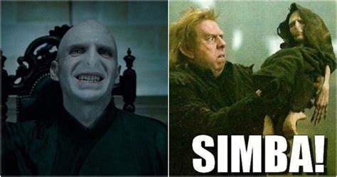 Harry Potter: 10 Hilarious Voldemort Memes Devoted Fans Will Love