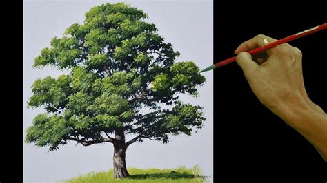 Oak Tree Paintings