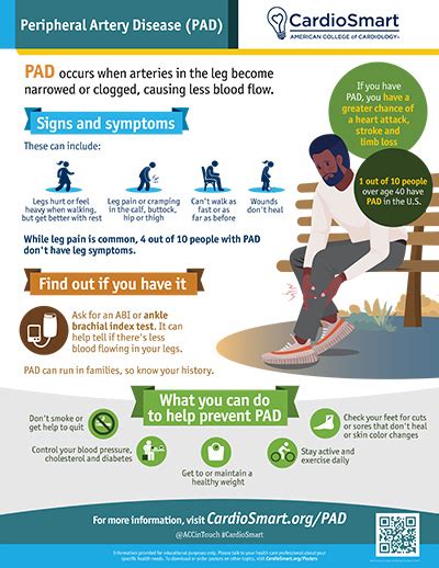 Peripheral Artery Disease – Infographic | CardioSmart – American ...