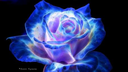 C.E. Pink and Blue Rose Fractal - 3D and CG & Abstract Background ...