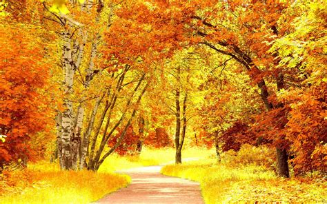 Fall Scenery Backgrounds - Wallpaper Cave