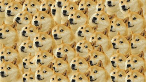 Doge Wallpapers - WallpaperSafari