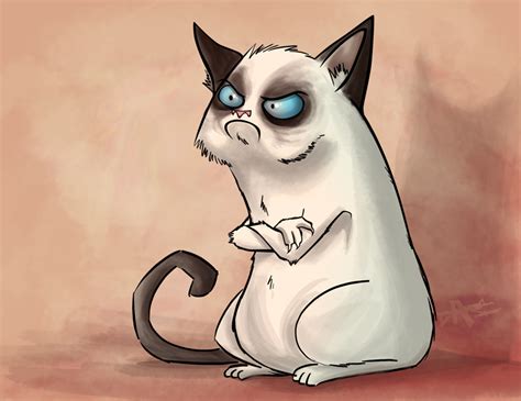 Grumpy Cat by Sodano on DeviantArt