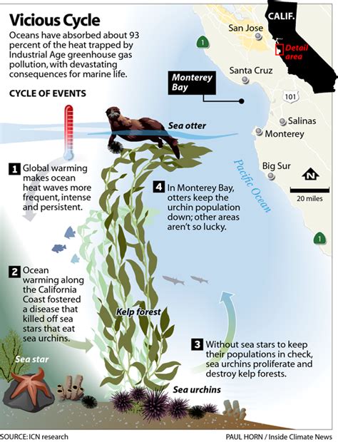 In the Pacific, Global Warming Disrupted The Ecological Dance of ...