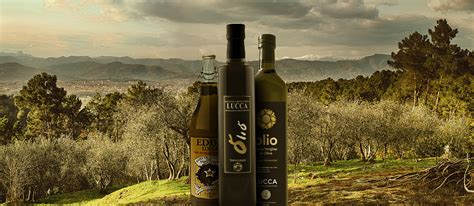 Lucca | Local Olive Oil From Province of Lucca, Italy