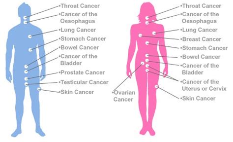 Cancer | Causes of Cancer - NCERT - PMF IAS