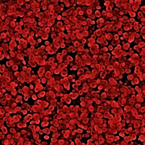 Excellent background image of red blood cells under the microscope