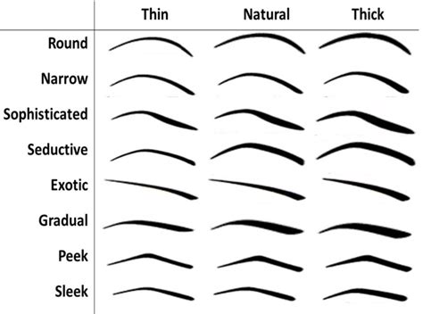 Different Types Of Eyebrow Shapes: Absolute Guide (com imagens ...