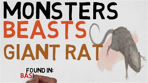 Beast #39: Giant Rat (DnD 5E Monsters) - YouTube