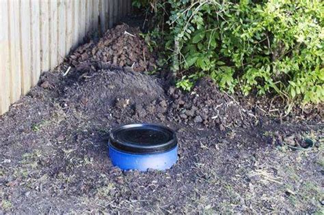 How To Make A DIY Dog Poo Compost - The Green Hub